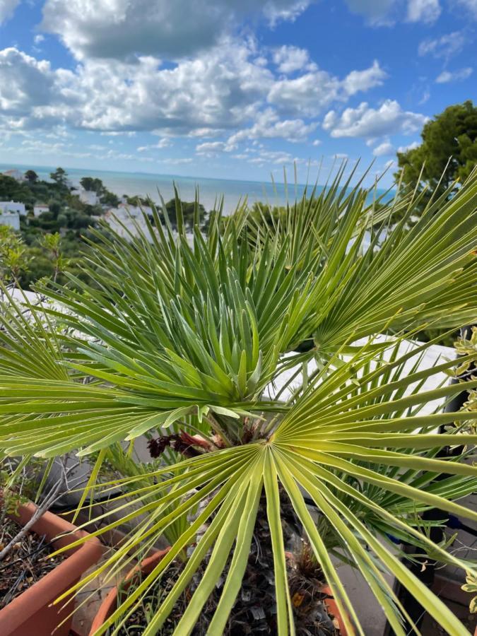 Tramonti Villa San Menaio Exteriör bild